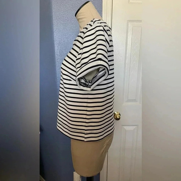 The Limited Striped Crop Top​​​​ - Picture 3 of 6